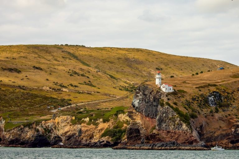 Historic Taiaroa Head Lighthouse at entrance to Otago Harbour,, Port Chalmers, New Zealand