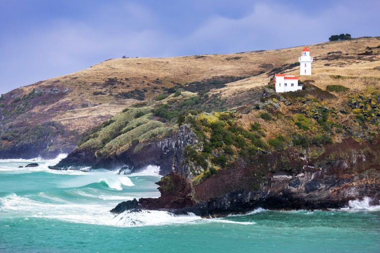 SSC_Dunedin_398