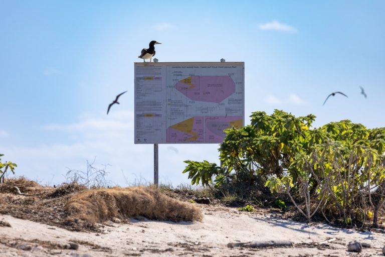 SSC_Kimberley_Ashmore_Reef_Birds_157
