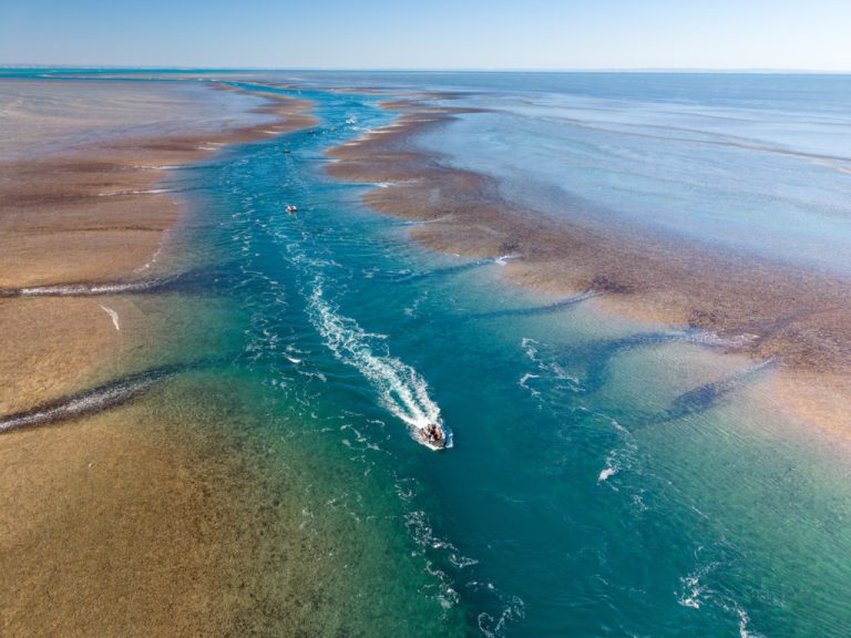 SSC_ZO_Kimberley_Montgomery_Reef_395
