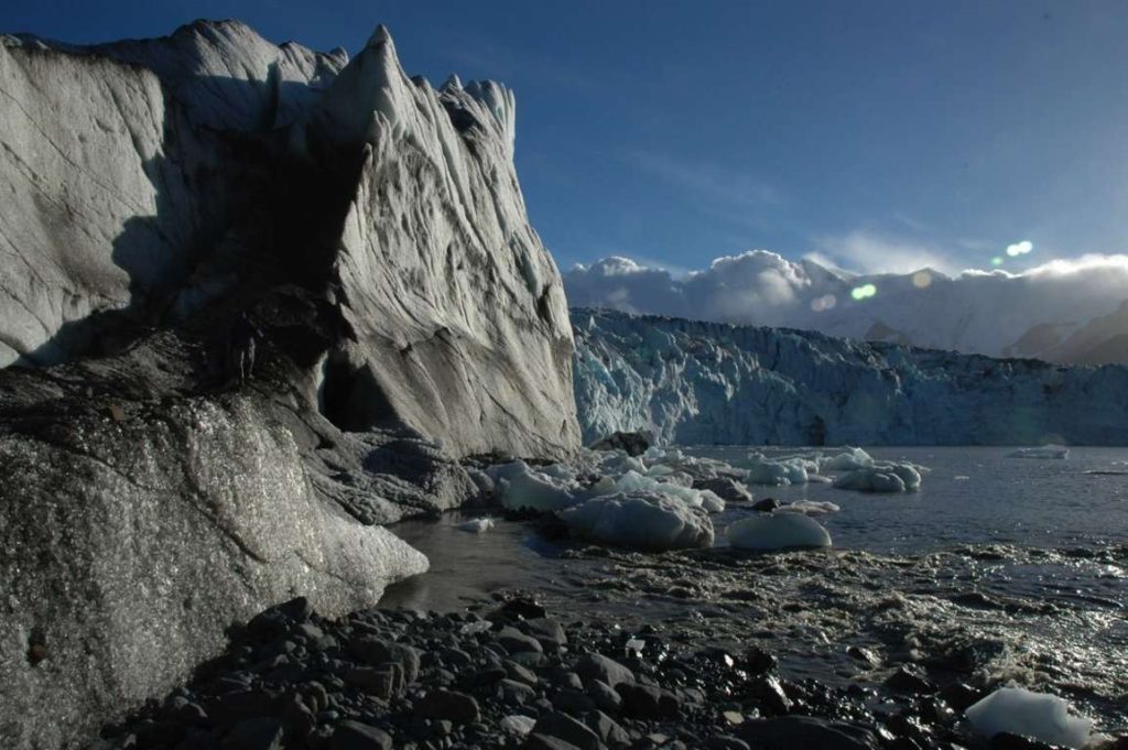 georgie-du-sud-un-paradis-de-nature-intacte