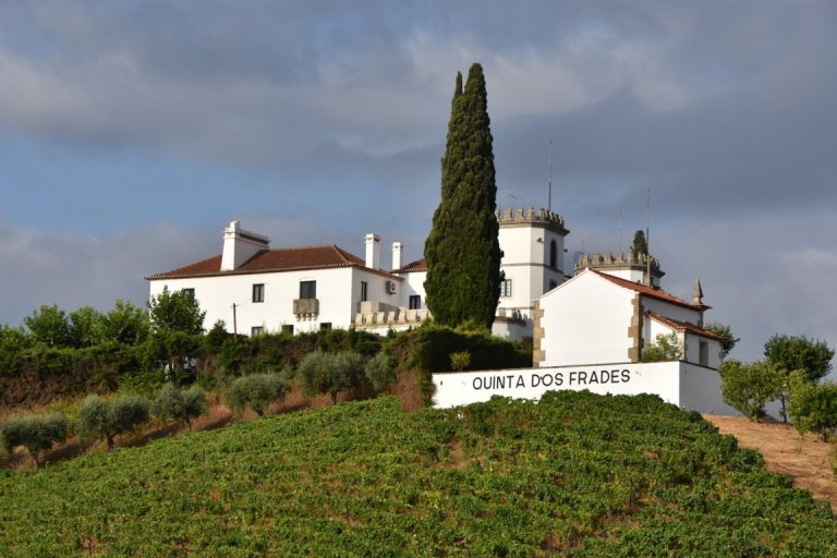 Landscapes and terraced vineyards along the Douro River between RÃ©gua and PinhÃ£o
