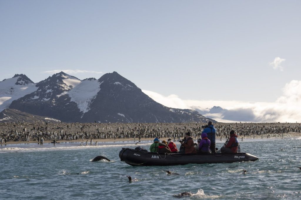 secret-atlas-exploracion-polar-como-experiencia-de-vida