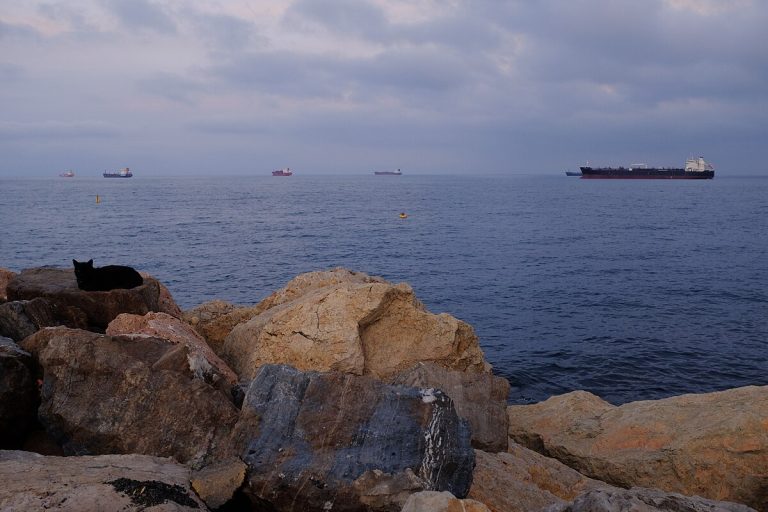View of Tarragona port