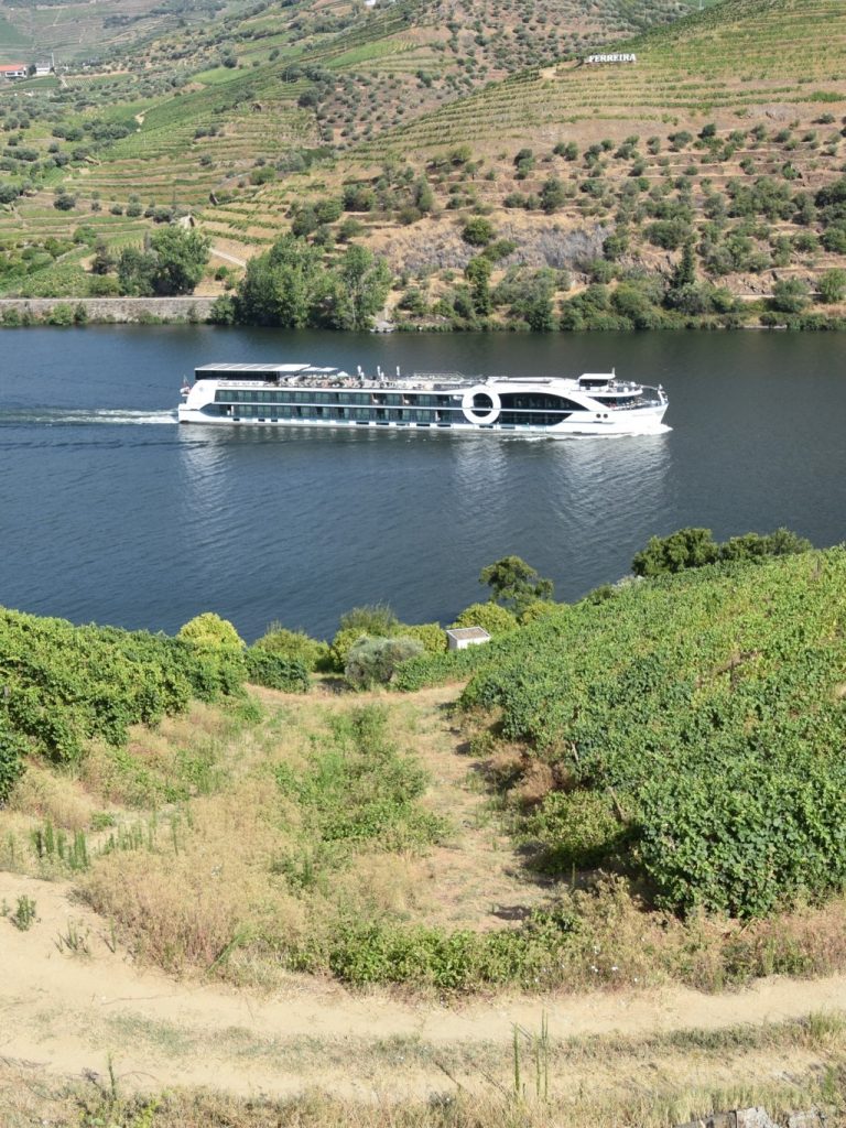 ms-riviera-rose-il-foto-album-completo