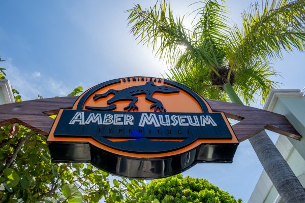 Amber Museum in Puerto Plata Amber Museum in Puerto Plata