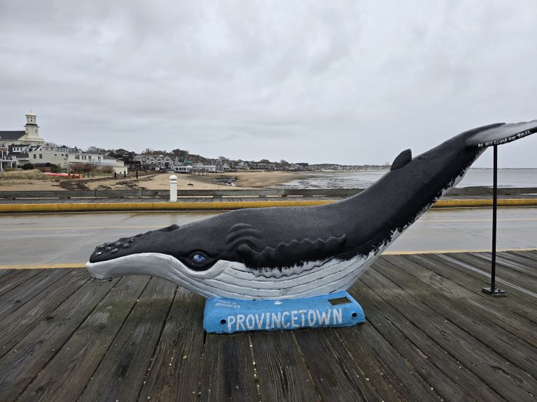 ProvinceTown ProvinceTown