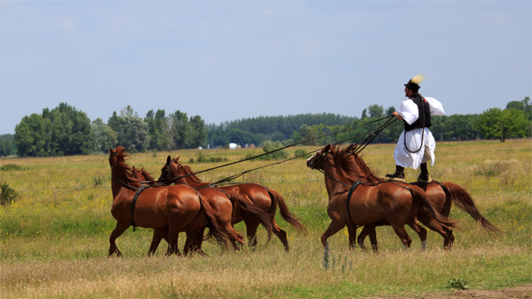 Afternoon on the Hungarian Puszta -RIVERSIDE SIGNATURE EVENT