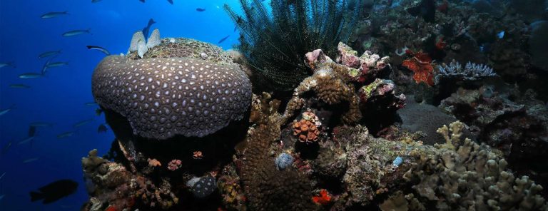 Cairns, The gateway to Australia s Great Barrier Reef and the tropical north of the country_HAL