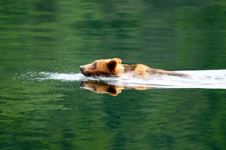 Prince Rupert Cruise Port