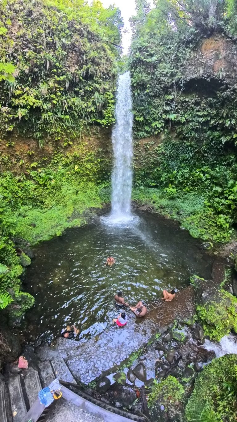 Dominica Spanny Falls