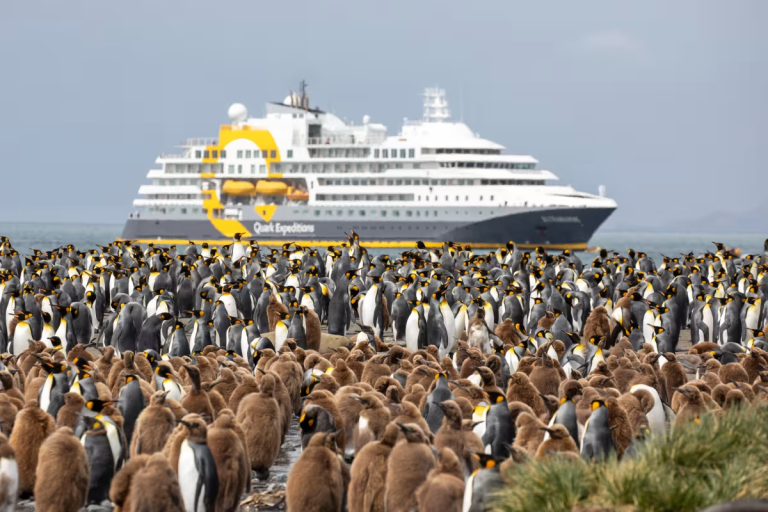Quark Expeditions in South Georgia