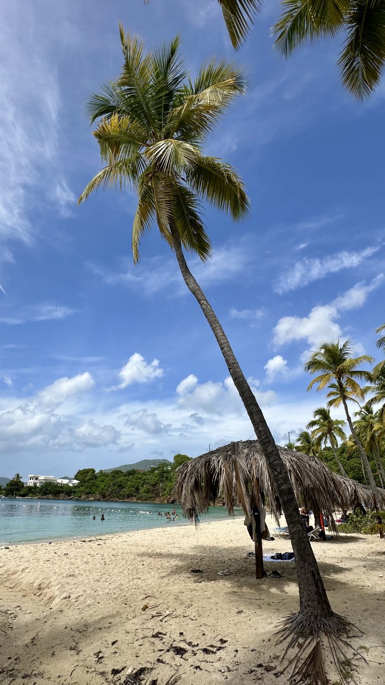 St. Thomas - Honeymoon Beach
