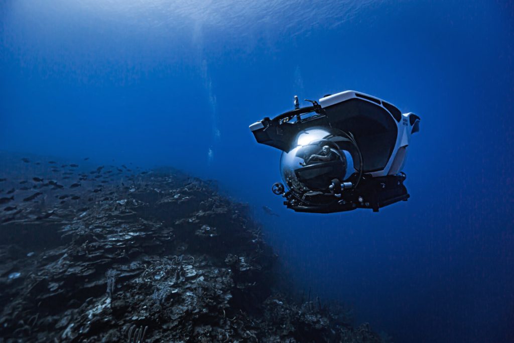 scenic-cruises-descubriendo-el-mundo-submarino