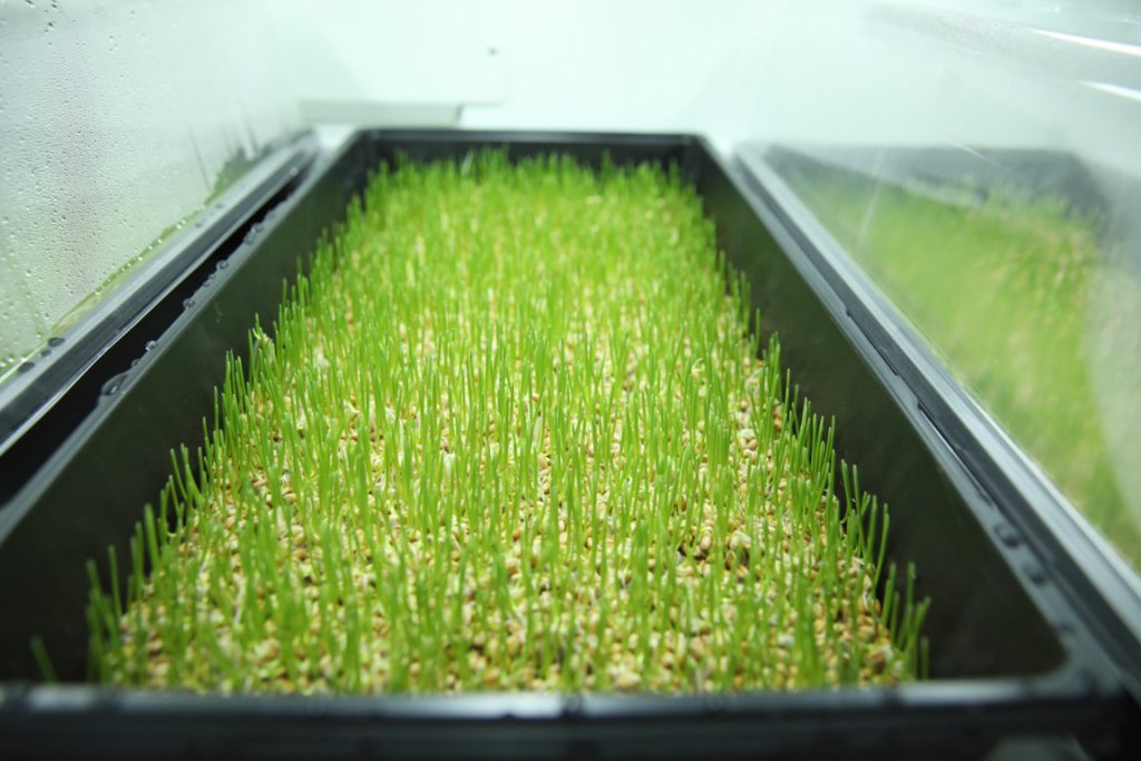 scenic-cruises-sustainability-also-starts-with-food