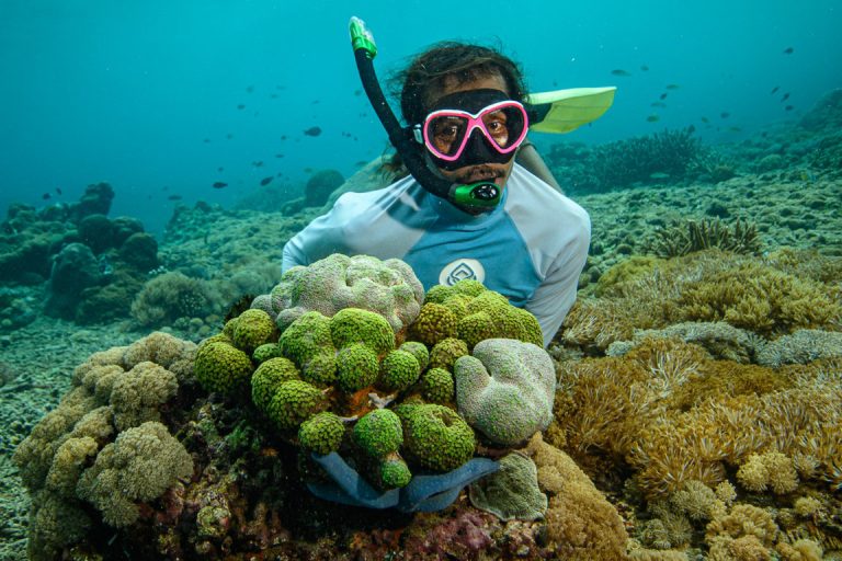 Coral planting in Indonesia with Seatree