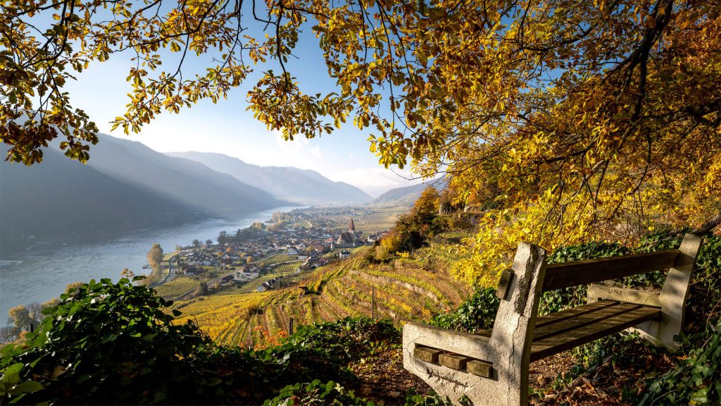 Riverside Cruises: From Vienna to the city of three rivers