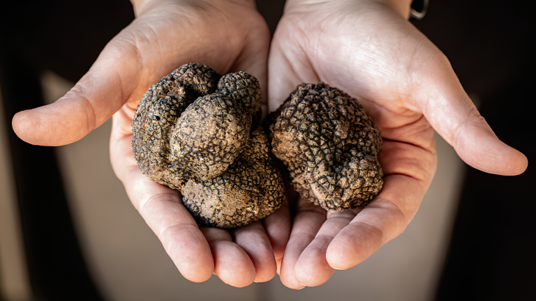 Truffle Farm_Riverside (1)
